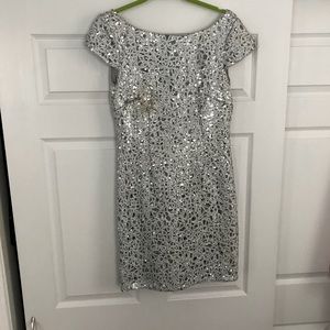 Silver sequin dress
